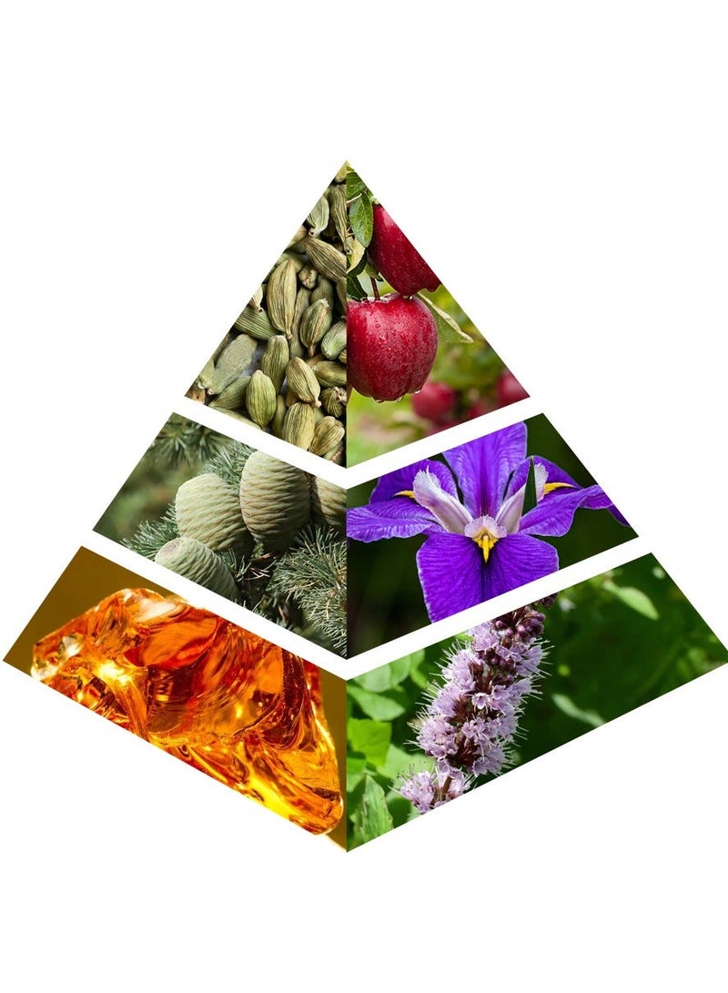 كاركتر حديقة ديل سييلو العنبر الخشبي - Image 5